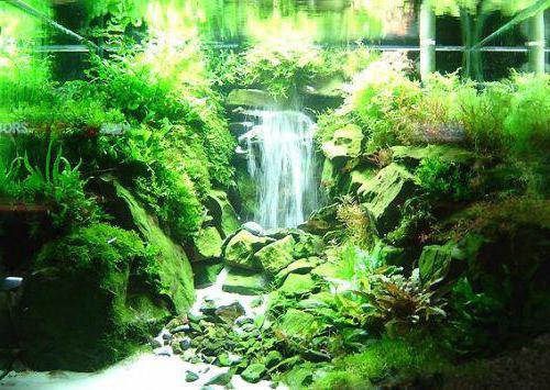 How to make a waterfall in an aquarium