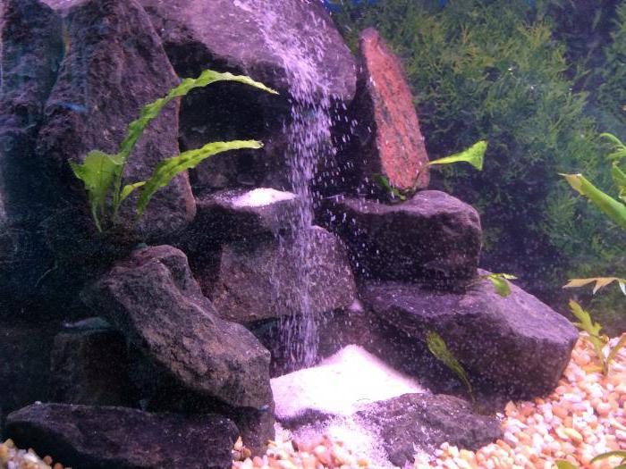 DIY waterfall in the aquarium