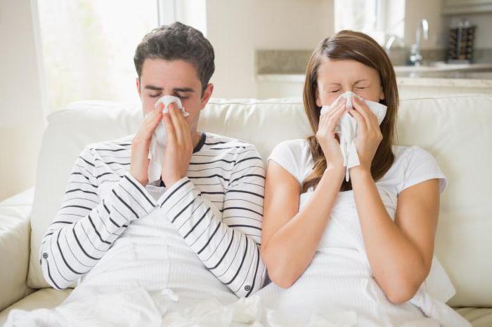 Простуда грипп и антибиотики
