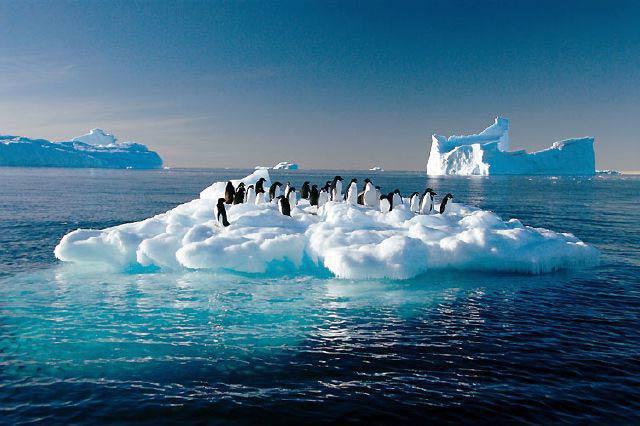 субантарктический архипелаг