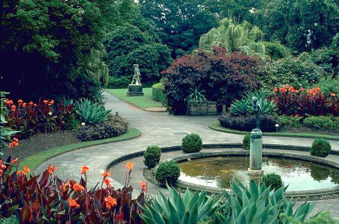 королевский ботанический сад в сиднее 