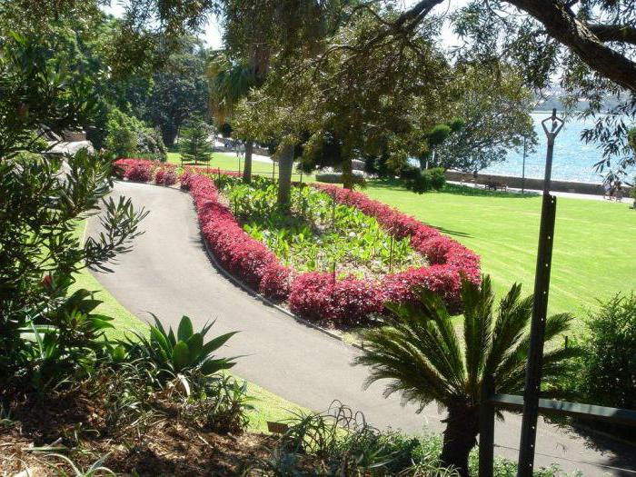 королевский ботанический сад сиднея австралия 