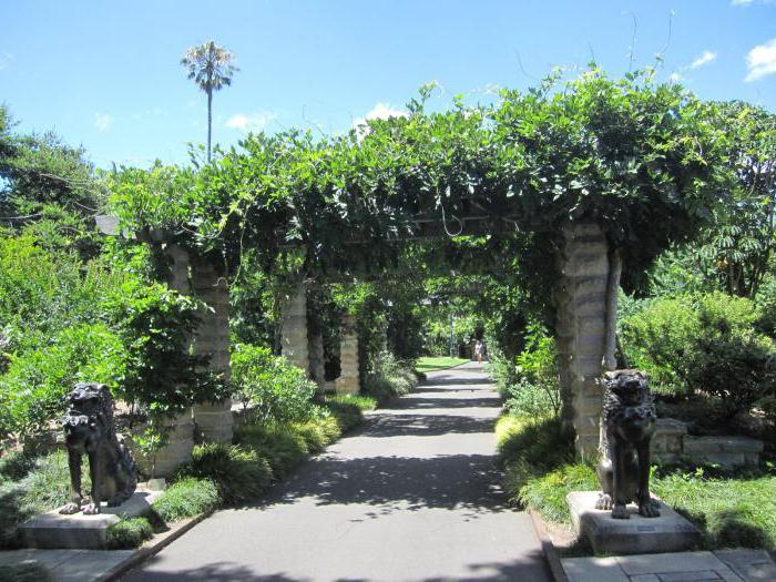 королевский ботанический сад австралия сидней 