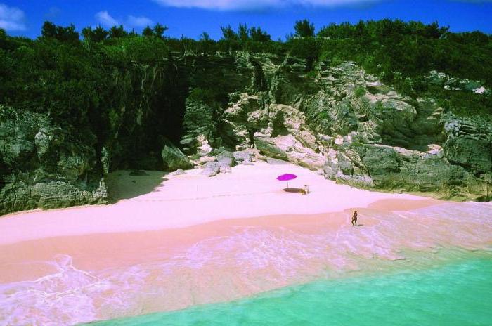 розовый пляж харбор 