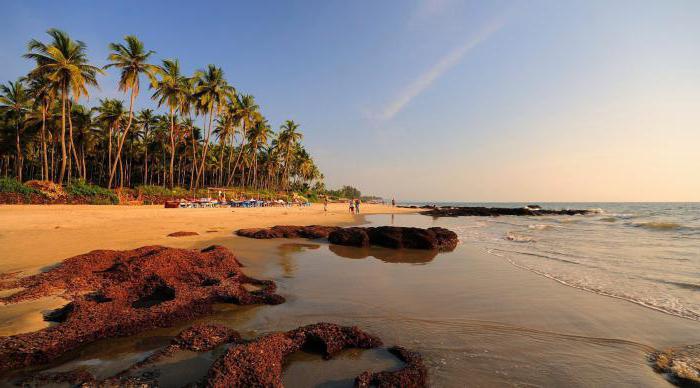 Отдых в Гоа: погода и климат, достопримечательности, пляжи, интересные места