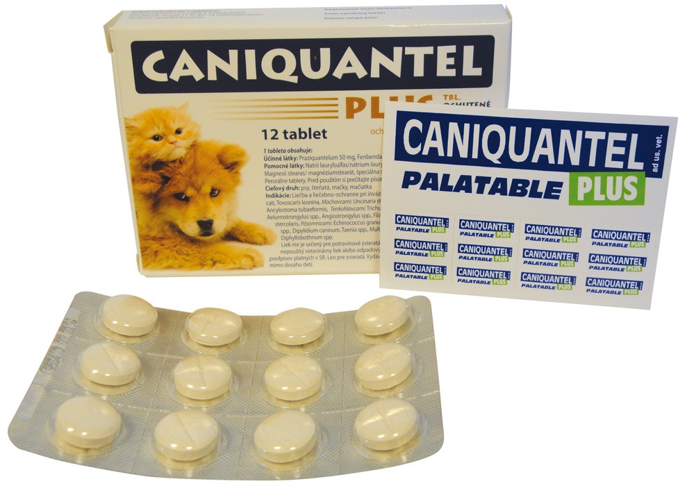 Лучшие антигельминтные препараты для собак