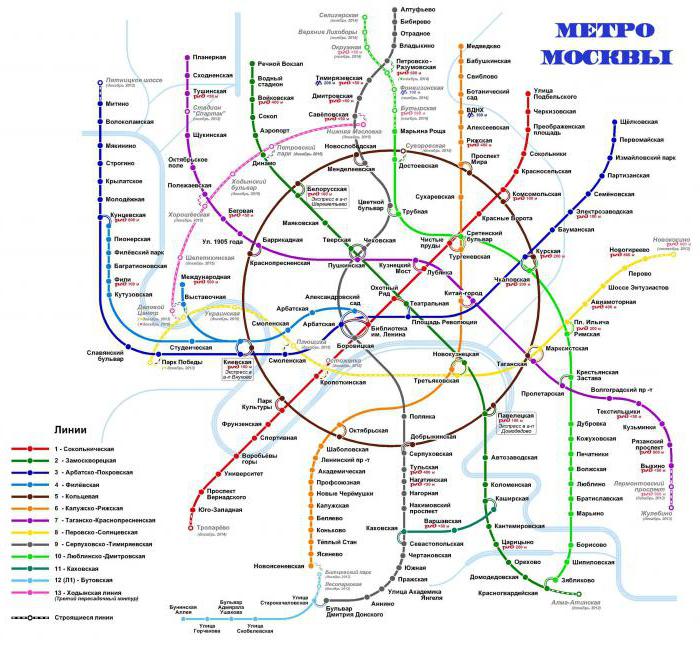 Начало работы метро в Москве Во сколько открывается метроМосквы