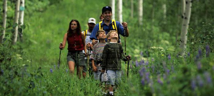 rules of ecological behavior of schoolchildren