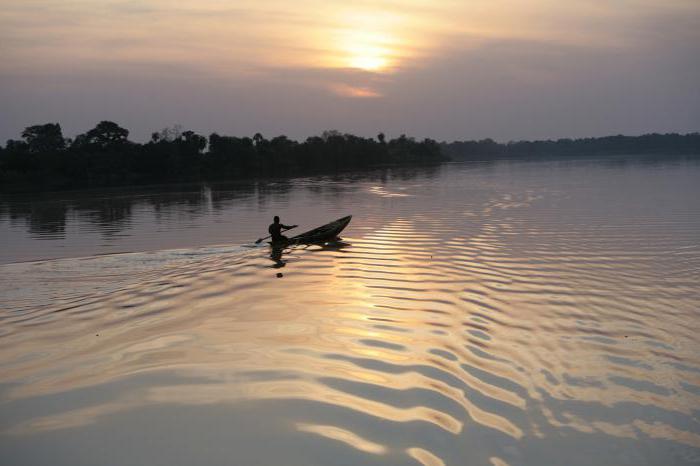 Гамбия. Река, притоки 