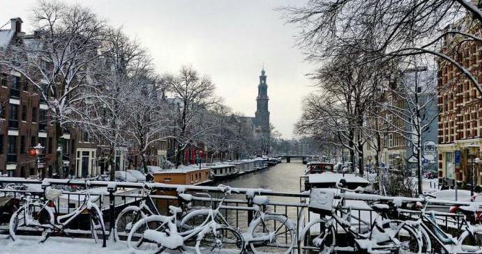 amsterdam january reviews