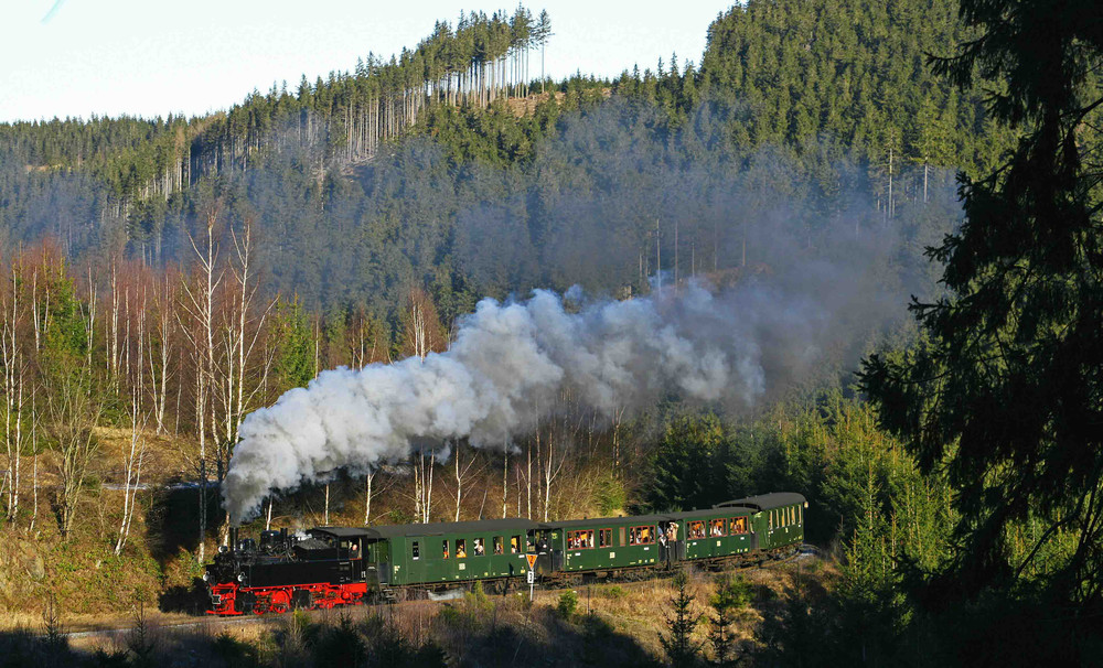 Wernigerode train