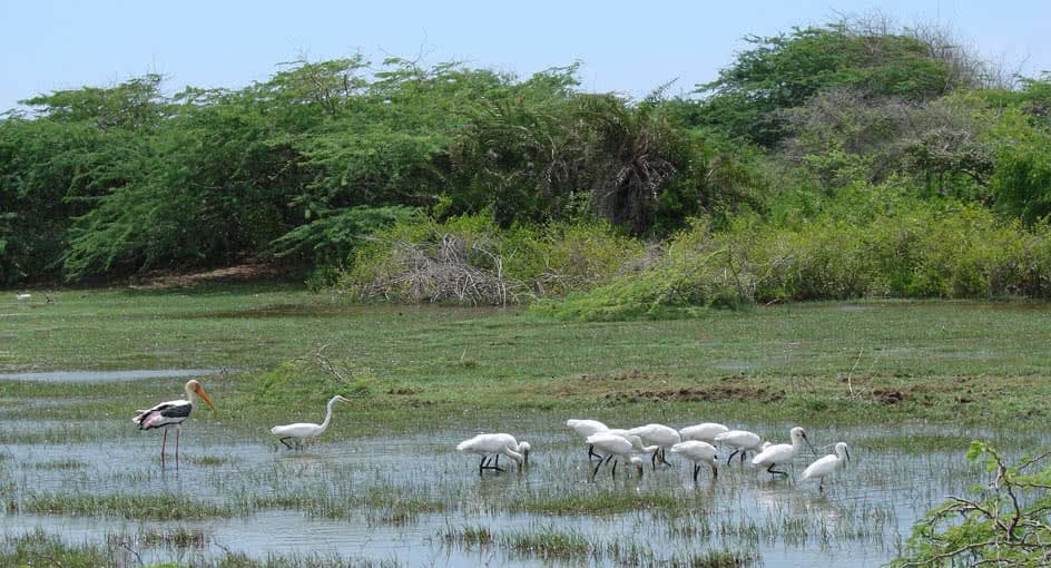 parks sri lanka