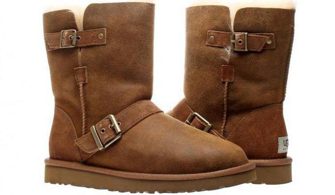 Men's ugg boots