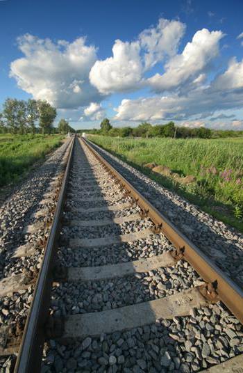 Строительство железной дороги в обход Украины