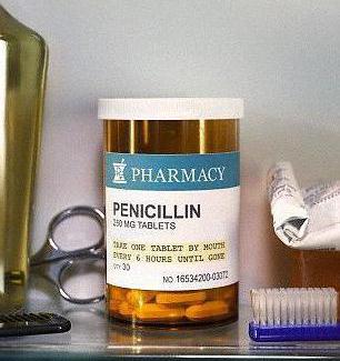 пенициллин подавляет у бактерий синтез днк