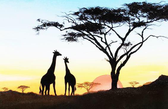 анализ стихотворения гумилева жираф