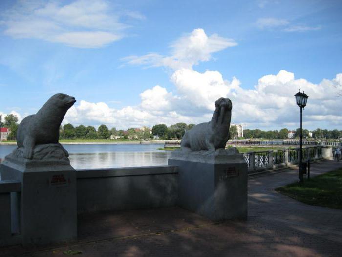 fishing in Kaliningrad