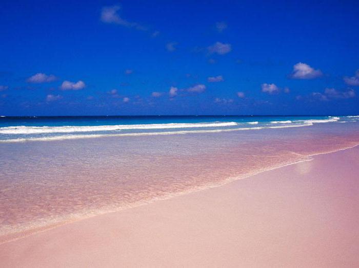 pink beach on harbor bahamas