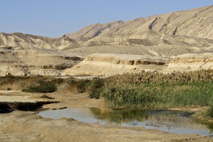 пустыня негев израиль
