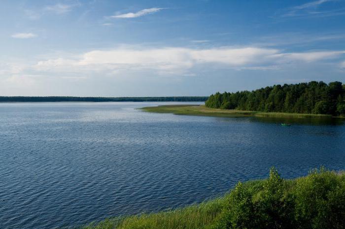 Белое озеро Беларусь Мядельский район
