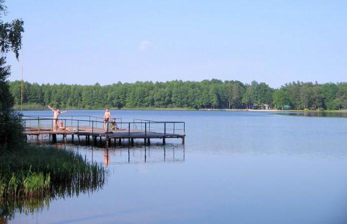 Белое озеро Беларусь фото