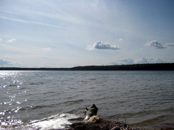 Белое озеро Беларусь Мядельский район