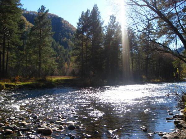 eagle's nest Altai