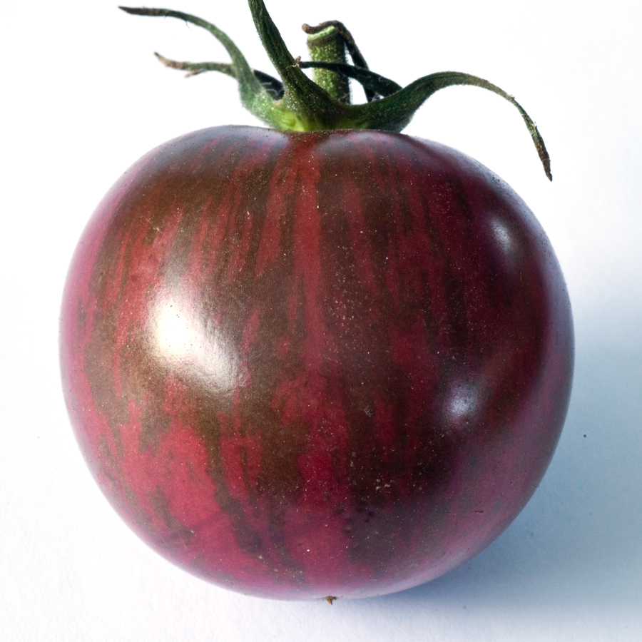 Помидоры 'Bumblebee Purple' Cherry Tomato