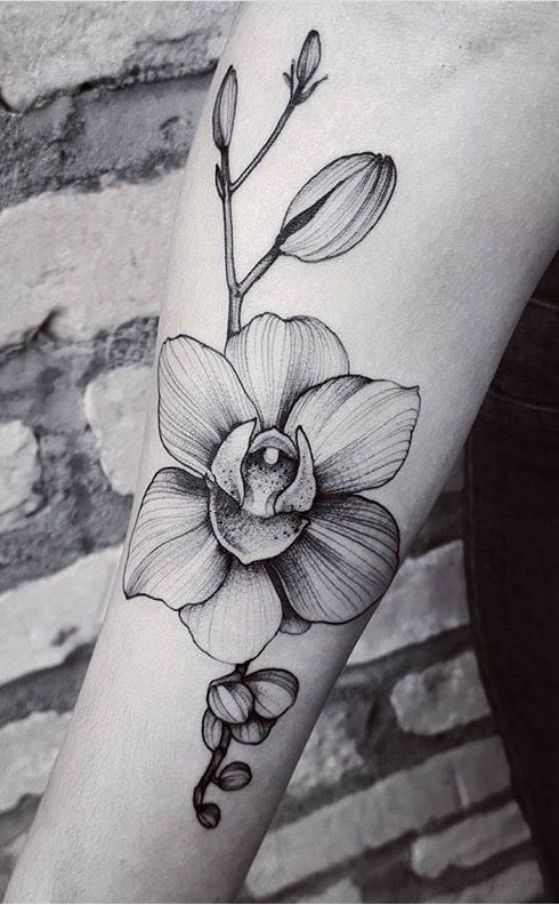 татуировка орхидея на руке