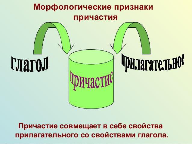 правила русского языка причастие и деепричастие