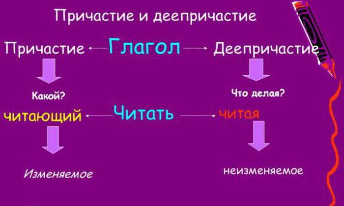 как отличать причастие от деепричастия