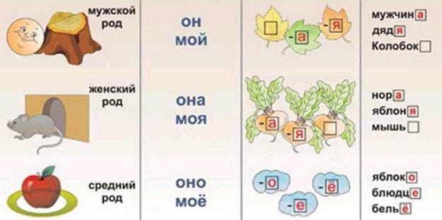 как определить винительный падеж существительного