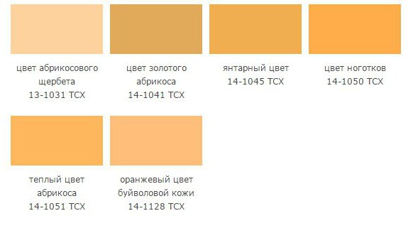 Разновидности оранжевого цвета названия и фото
