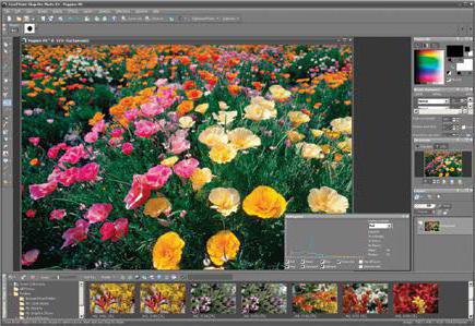 Corel photo paint как убрать фон