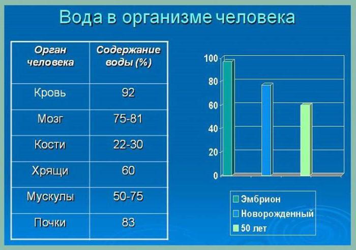 функция углеводов в клетке