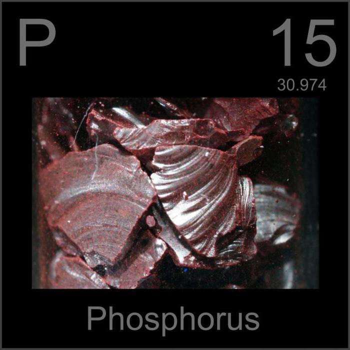 для чего нужен фосфор в организме человека [1]