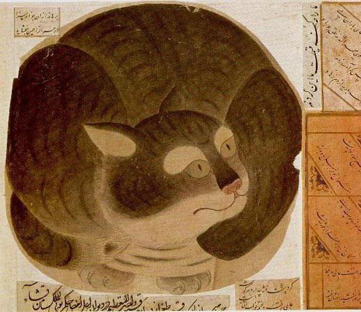 кошка в исламе священное животное 