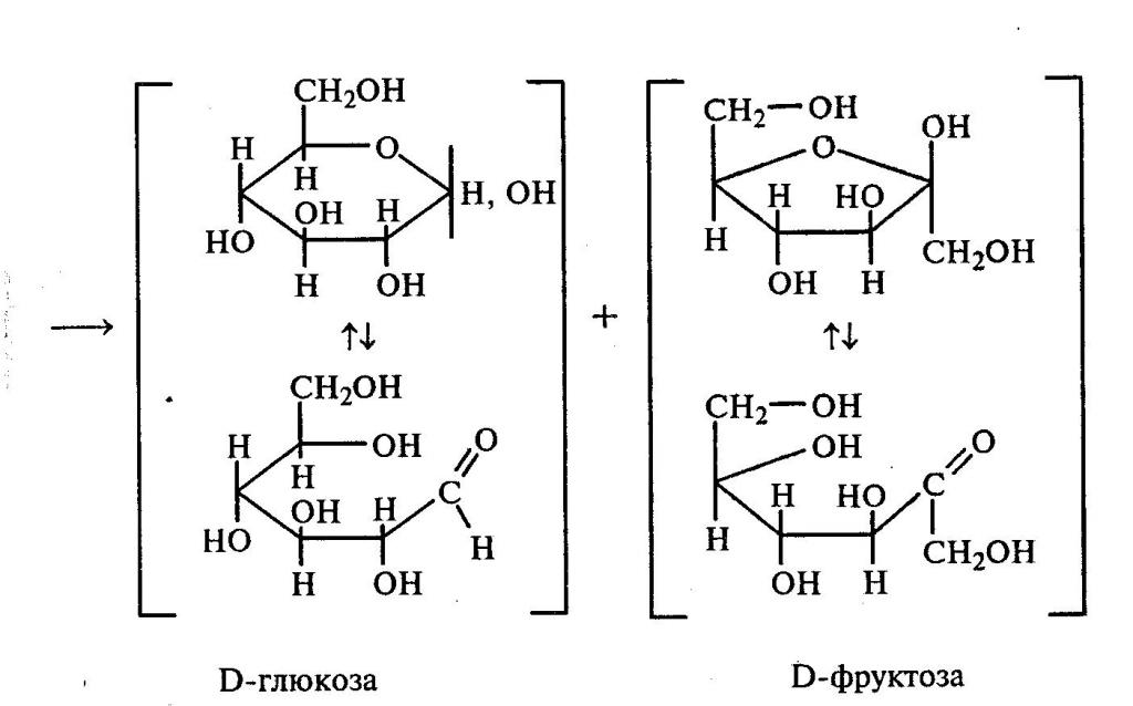Схема образования сахарозы