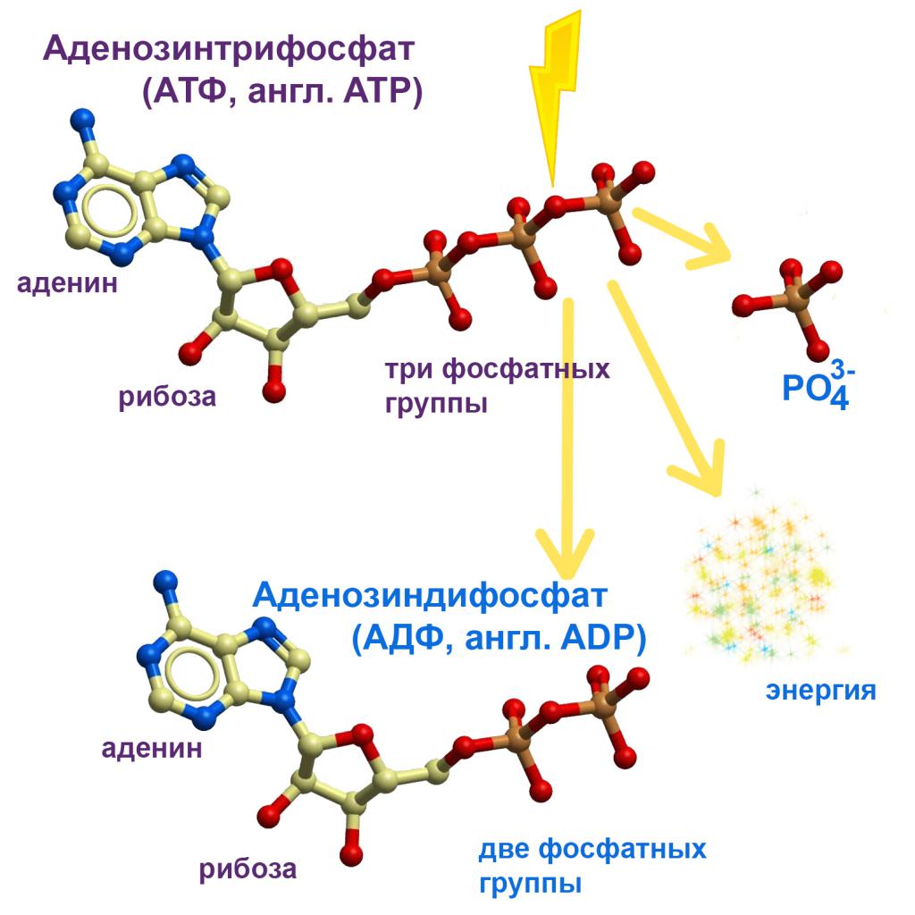 Киа атф сп 4