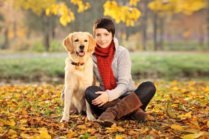 Autumn photo shoot of an idea for a girl in nature