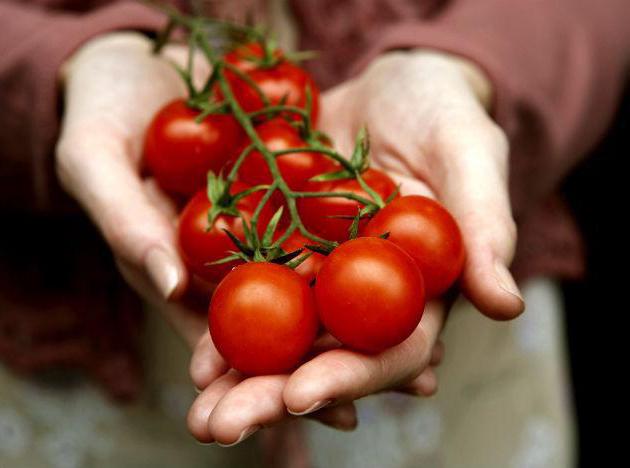 the fruit of the nightshade plants of potato and tomato is called