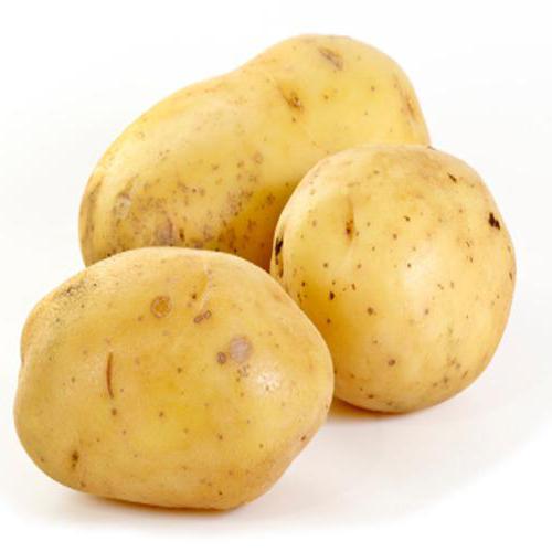 плод пасленовых растений картофеля и томата называют