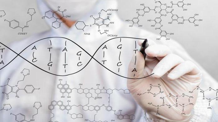 what is a genotype in biology