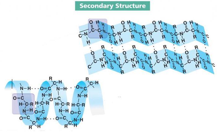 третичной четвертичной структуры белков