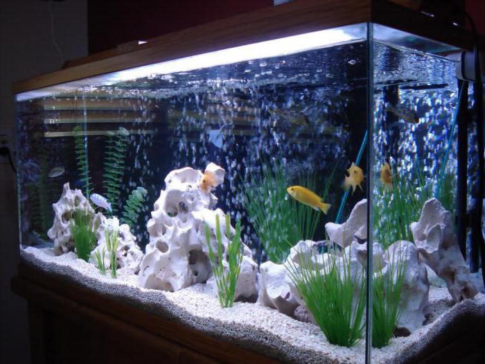 светодиодное освещение аквариума