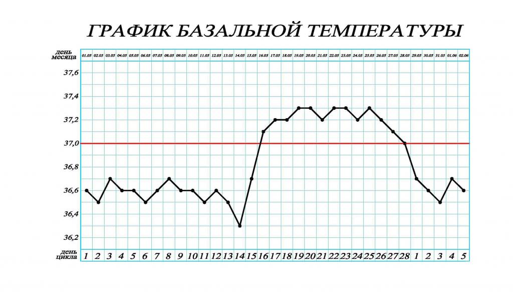 График базальной температуры