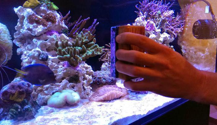 магнитные скребки для аквариума своими руками
