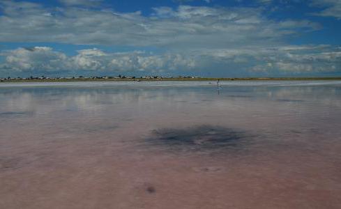 розовое озеро на алтае фото