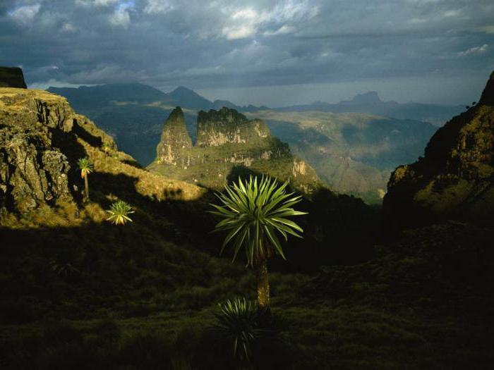 эфиопское нагорье и плато сомали