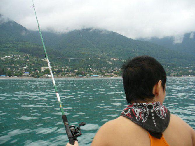 снасти для рыбалки с берега в черногории